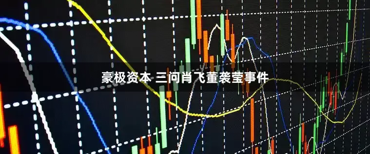 豪极资本 三问肖飞董袭莹事件