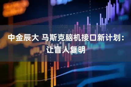 中金辰大 马斯克脑机接口新计划：让盲人复明