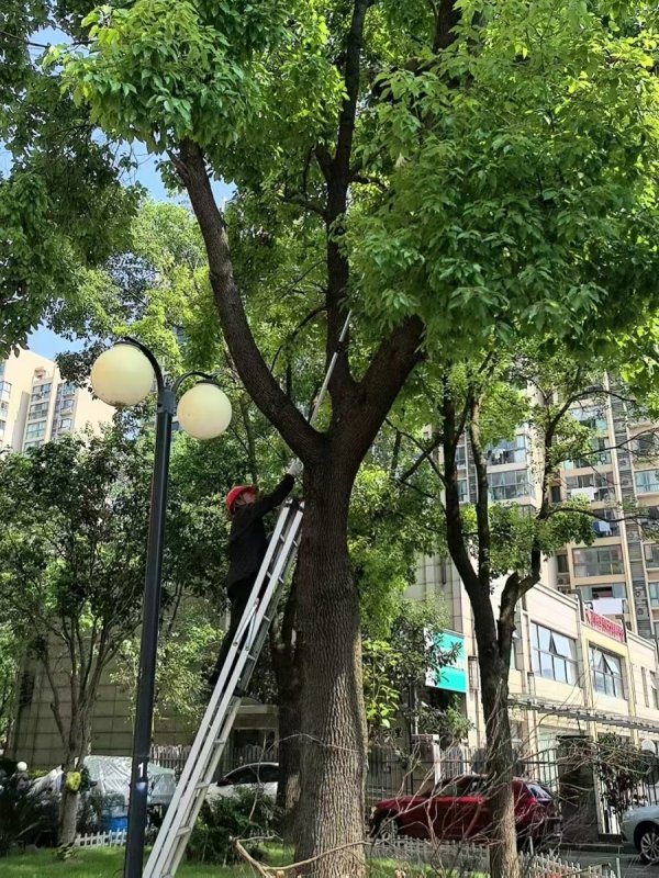 元宝枫资本 从“被动抢修”到“主动治理”，“物业+服务”应对电梯“中暑”有良方